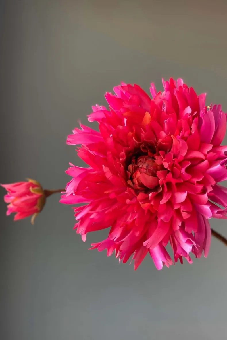 Pip Kunstbloemen Fall Beauty