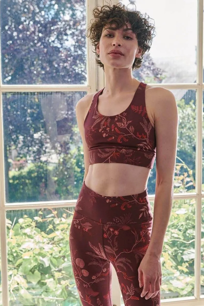 Sport Bh Isola Donker